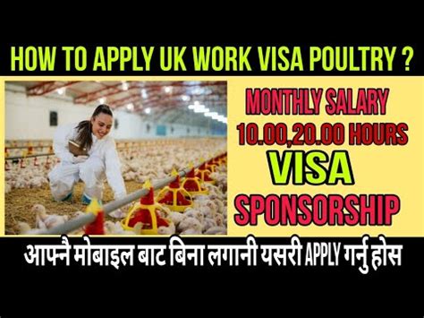 the kind of worker you are looking to <strong>sponsor</strong>) Appoint people to manage the <strong>sponsorship</strong> process internally. . Uk poultry jobs with visa sponsorship